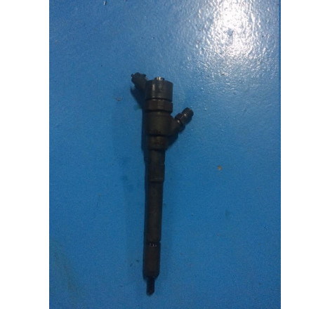 Injector, Peugeot 407